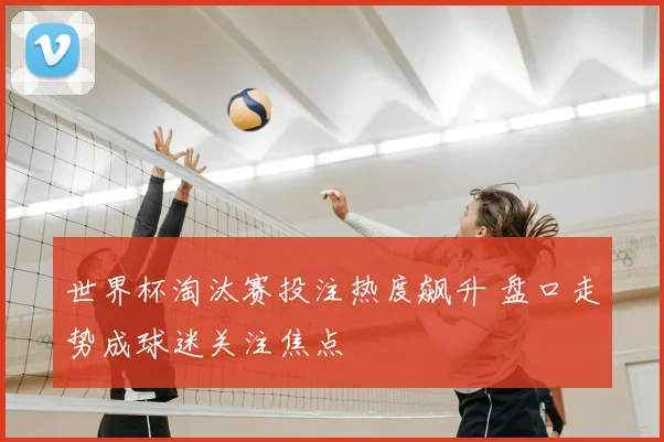 世界杯淘汰赛投注热度飙升 盘口走势成球迷关注焦点