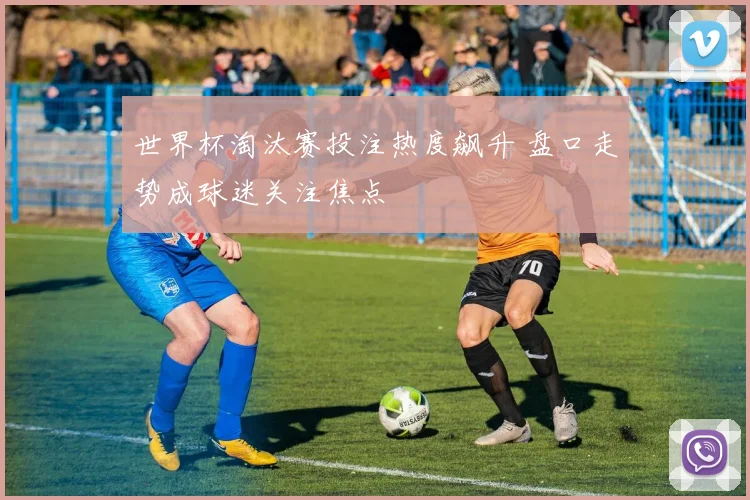 世界杯淘汰赛投注热度飙升 盘口走势成球迷关注焦点